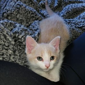 Meet your Posher, Kimberly